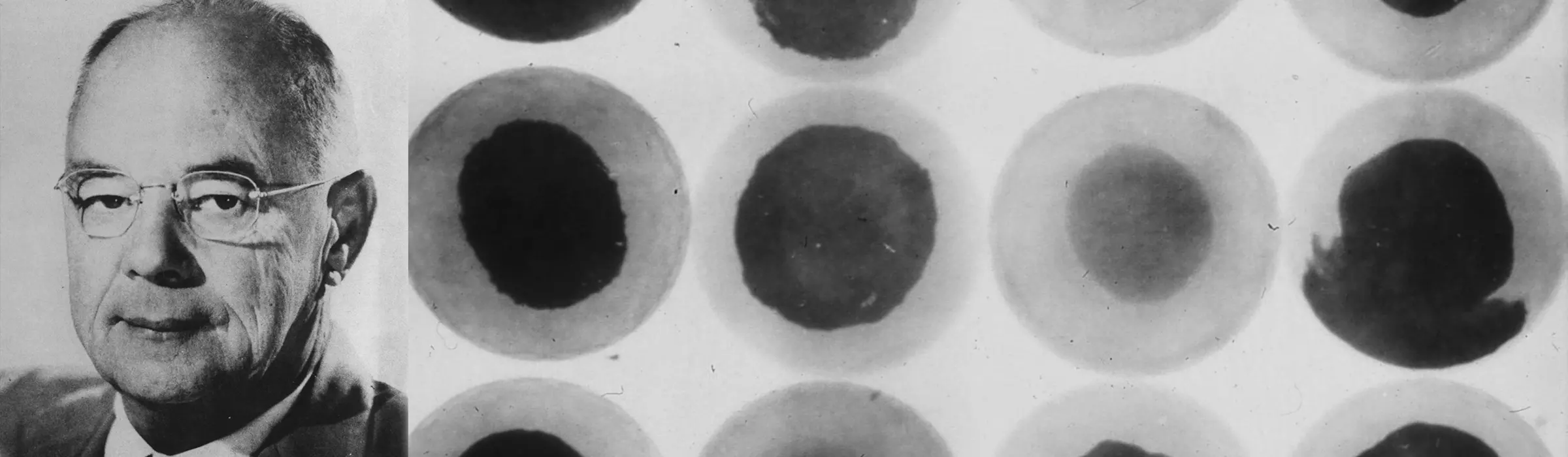 titleist-phill-image