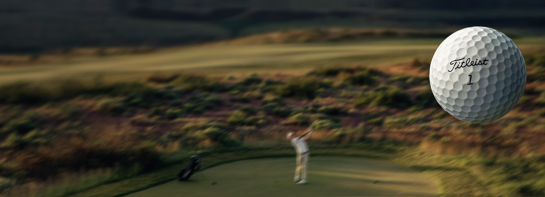 FILE_000000000039299